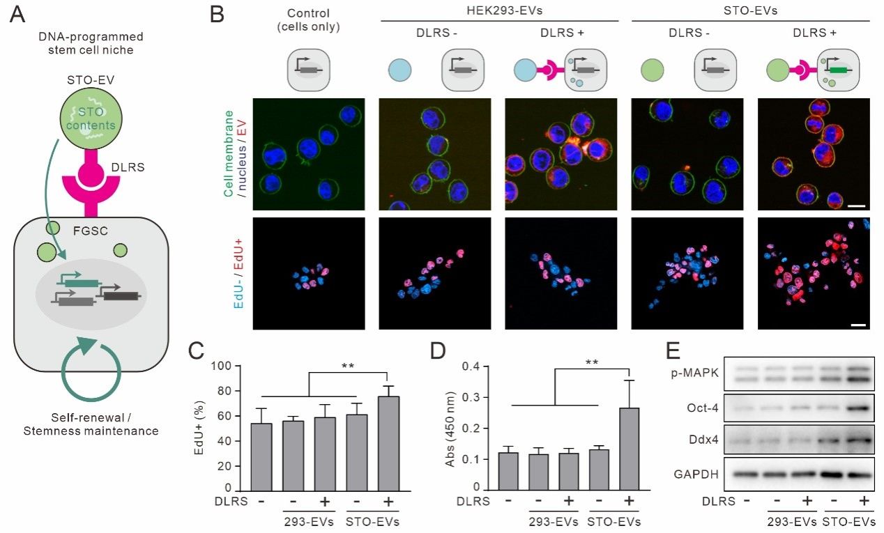 20231012-2.jpg 20231012-2.jpg