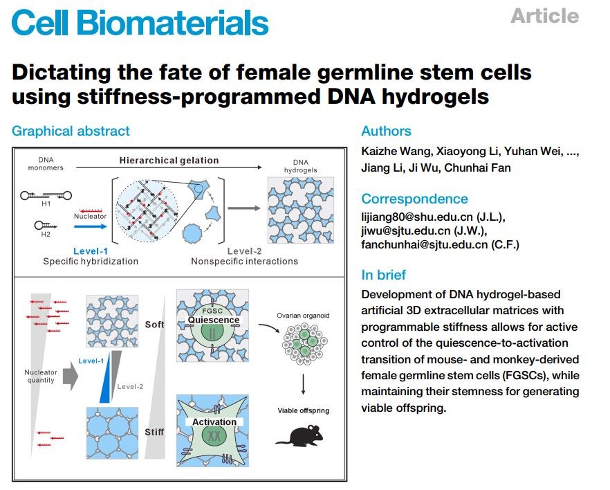 20250723-11.jpg 20250723-11.jpg